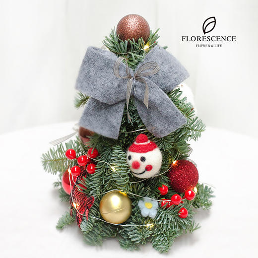 【花柒】诺贝松小圣诞树圆筒礼盒 商品图2