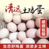 【仅自提】广东清新 本地鸡农家土鸡蛋初生蛋 30枚 商品缩略图1