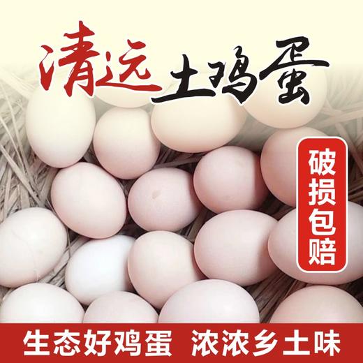 【仅自提】广东清新 本地鸡农家土鸡蛋初生蛋 30枚 商品图1