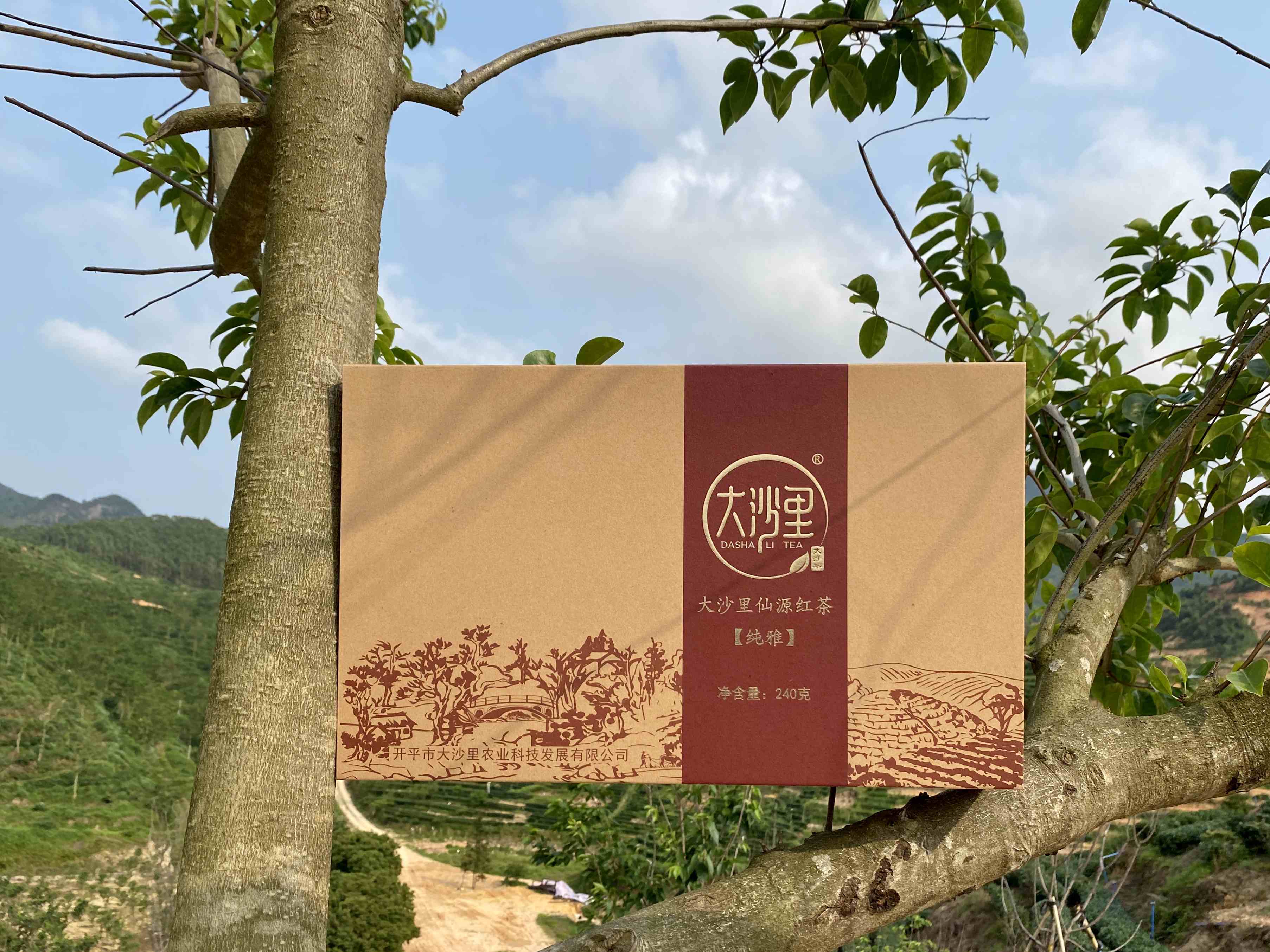 QC002 秋茶 大沙里金牡丹秋茶 仙源红茶（纯雅）