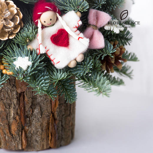 【花柒】进口诺贝松圣诞树礼盒 商品图5