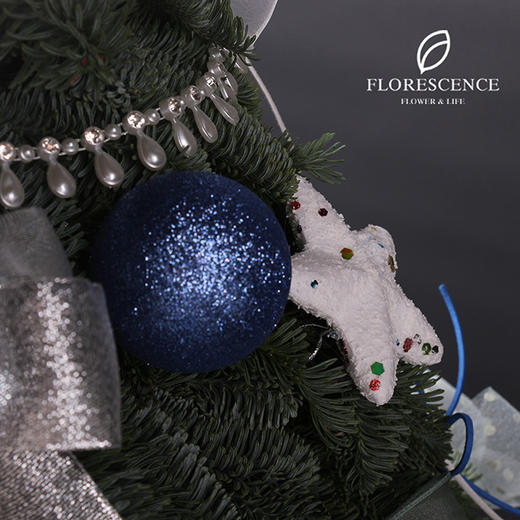 【花柒】进口诺贝松大圣诞树80-200com 商品图2