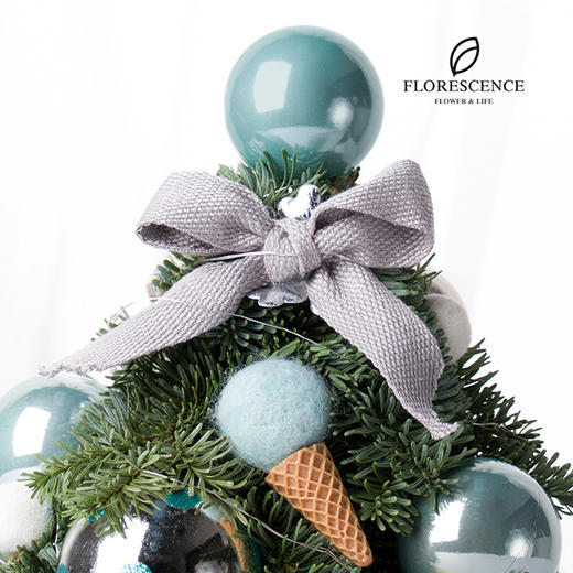 【花柒】诺贝松小圣诞树圆筒礼盒 商品图5