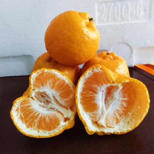 【助农】云南华坪高原椪柑 新鲜柑橘 自然成熟  果肉脆嫩 商品图8