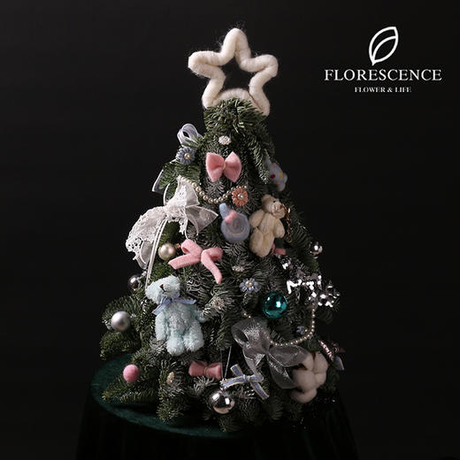 【花柒】进口诺贝松圣诞树40厘米 商品图3