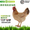 秦邦吉品有机600天老母鸡 一只/盒 商品缩略图0