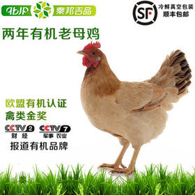 秦邦吉品有机600天老母鸡 一只/盒