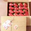 新鲜草莓礼盒｜当日采摘 商品缩略图6