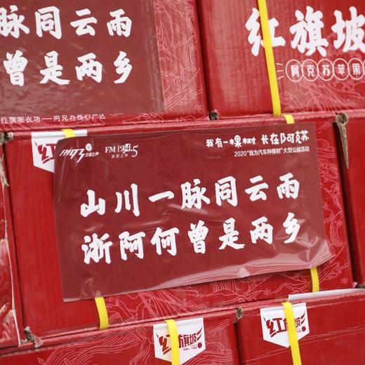 新疆阿克苏冰糖心苹果（2月3日9:00下架） 商品图2