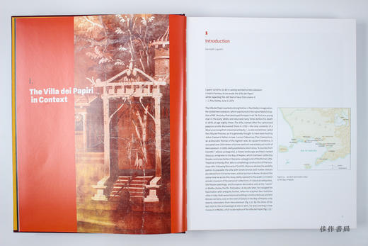 Buried by Vesuvius: The Villa dei Papiri at Herculaneum /被维苏威火山掩埋：赫库兰尼姆的帕皮里别墅 商品图2
