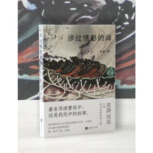 涉过愤怒的海 商品图1