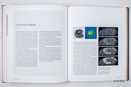 Buried by Vesuvius: The Villa dei Papiri at Herculaneum /被维苏威火山掩埋：赫库兰尼姆的帕皮里别墅 商品图3