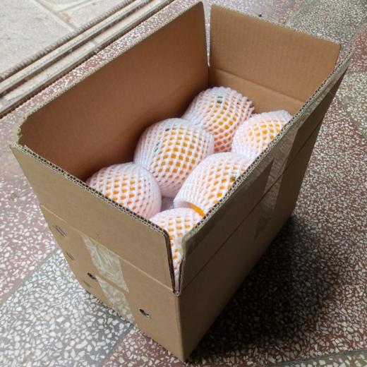 【助农】云南华坪高原椪柑 新鲜柑橘 自然成熟  果肉脆嫩 商品图9