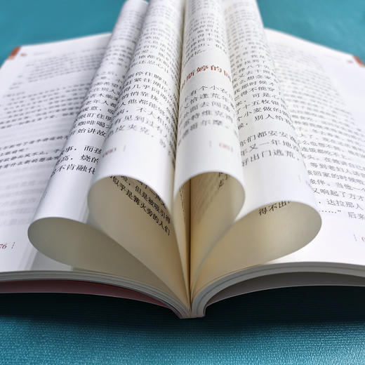 骑鹅旅行记 商品图1