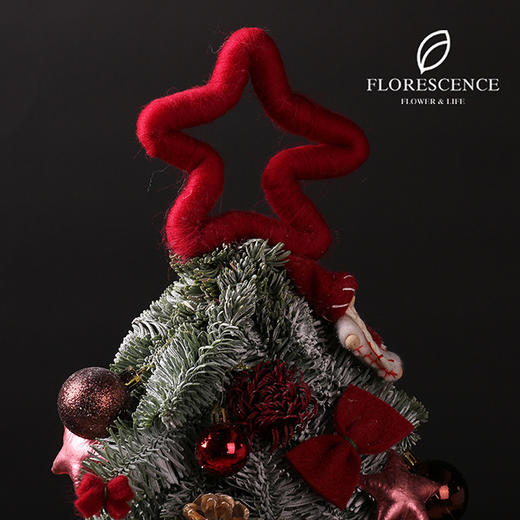 【花柒】进口诺贝松圣诞树40厘米 商品图2