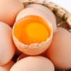 【土鸡蛋20枚礼盒】橘园鲜鸡蛋20枚 礼盒装 顺丰包邮 商品缩略图3
