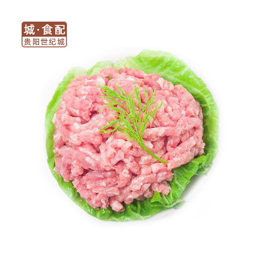 gy瘦肉沫500g