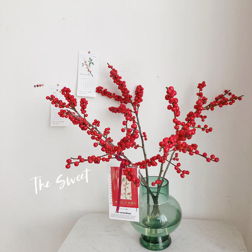 北美冬青 商品图1