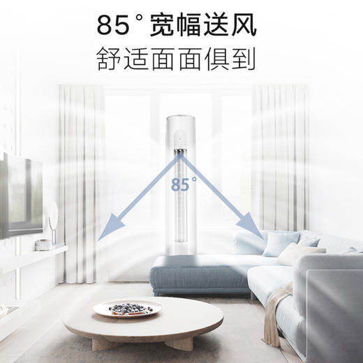 GREE格力 天丽3匹 一级能效  变频冷暖 蒸发器净菌自洁 独立除湿 广角送风 柜式空调 商品图4