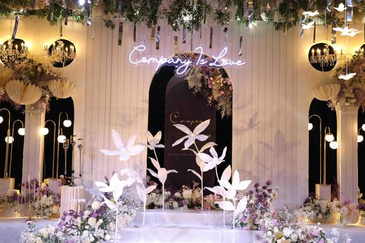 尖叶兰【运费自理】 商品图2