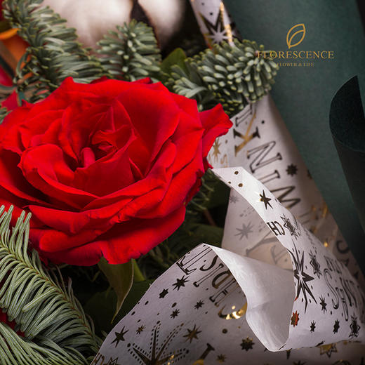 【花柒】进口诺贝松圣诞主题大花束 商品图1