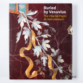 Buried by Vesuvius: The Villa dei Papiri at Herculaneum /被维苏威火山掩埋：赫库兰尼姆的帕皮里别墅