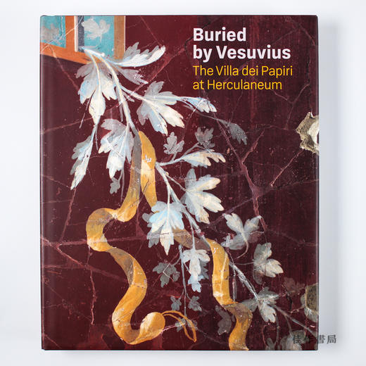 Buried by Vesuvius: The Villa dei Papiri at Herculaneum /被维苏威火山掩埋：赫库兰尼姆的帕皮里别墅 商品图0
