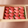 新鲜草莓礼盒｜当日采摘 商品缩略图7