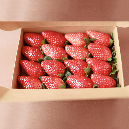 新鲜草莓礼盒｜当日采摘 商品图7