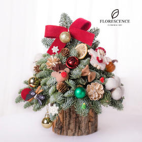 【花柒】进口诺贝松圣诞树礼盒