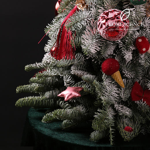 【花柒】进口诺贝松圣诞树40厘米 商品图1