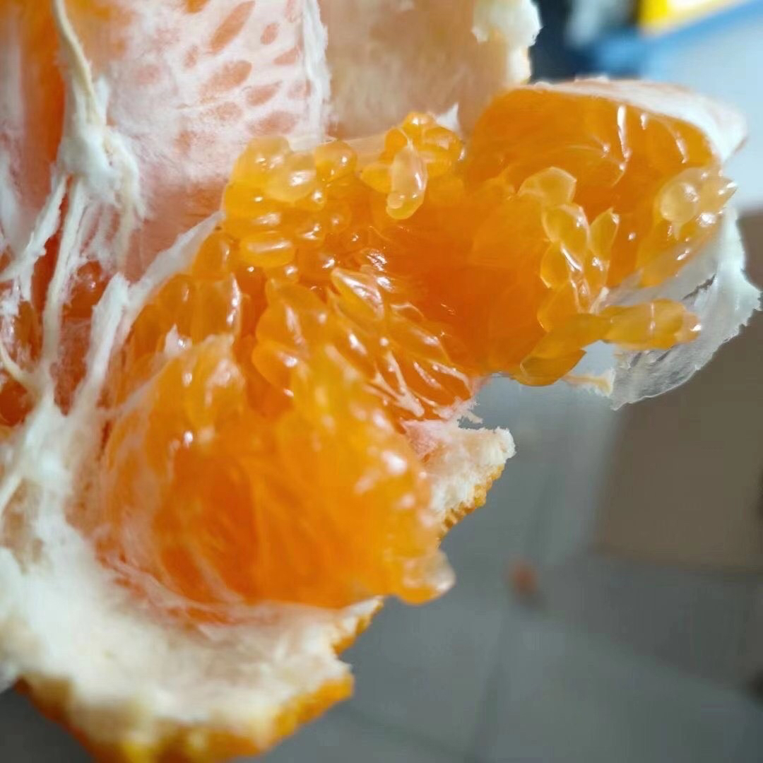 【好吃的品牌耙耙柑来喽】橘子味浓郁，纯甜（甜），水嫩多汁，明星爆款产品