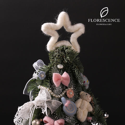 【花柒】进口诺贝松圣诞树40厘米 商品图4