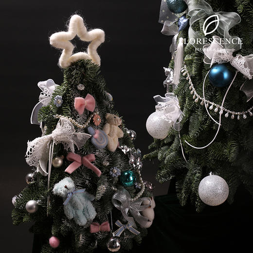 【花柒】进口诺贝松圣诞树40厘米 商品图5