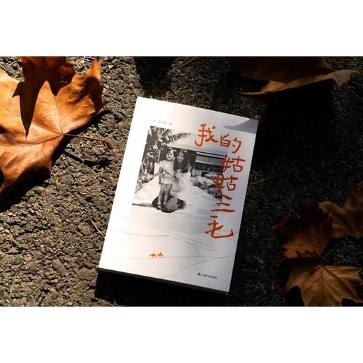 我的姑姑三毛 商品图1