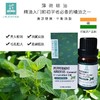 平衡小柅 亚洲薄荷精油 单方纯精油 清凉舒爽提振情绪 扩香 商品缩略图1