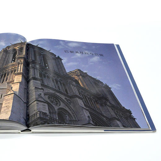 永恒的巴黎圣母院：一座哥特式大教堂的诞生 商品图3