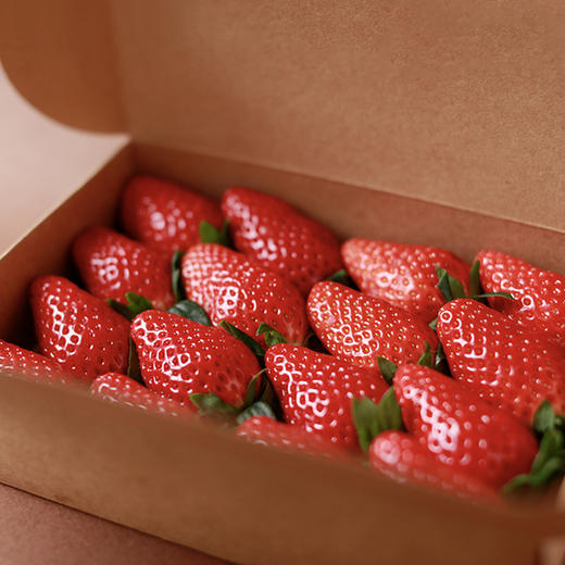 新鲜草莓礼盒｜当日采摘 商品图0