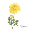 配花 | 洋牡丹黄色【反季节，介意慎拍】
 商品缩略图4