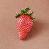 新鲜草莓礼盒｜当日采摘 商品缩略图8