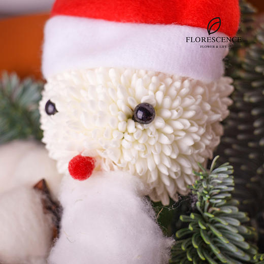 【花柒】进口诺贝松苹果小花束 商品图2