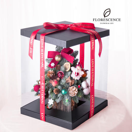 【花柒】进口诺贝松圣诞树礼盒 商品图2