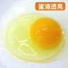 【仅自提】广东清新 本地鸡农家土鸡蛋初生蛋 30枚 商品缩略图2