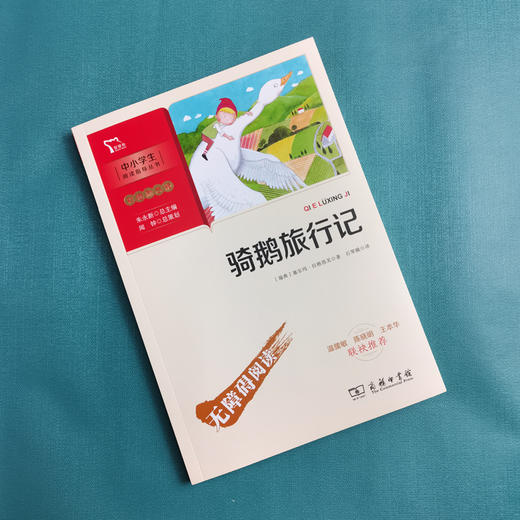 骑鹅旅行记 商品图3