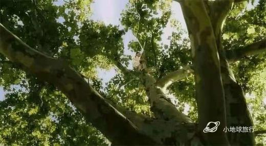 云南西双版纳“西南蛮夷”之旅7天 商品图0