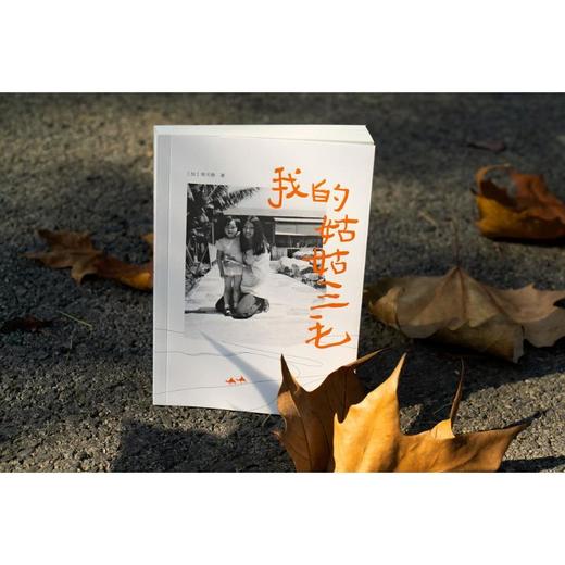 我的姑姑三毛 商品图2