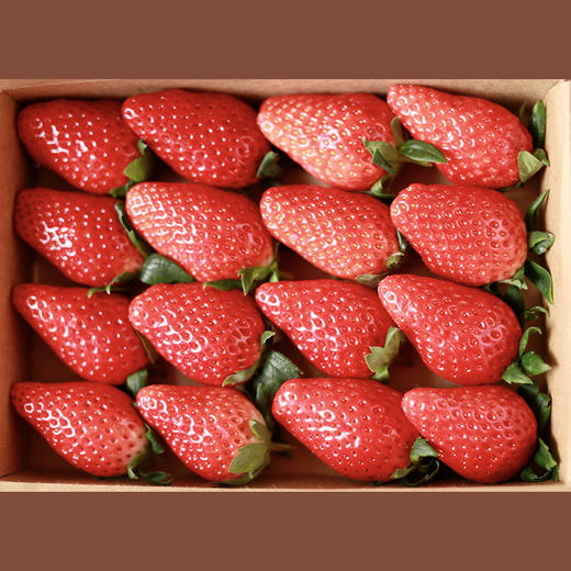 新鲜草莓礼盒｜当日采摘 商品图1