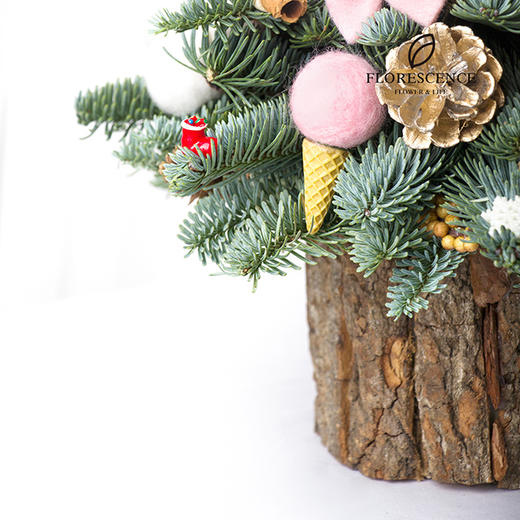 【花柒】进口诺贝松圣诞树礼盒 商品图4