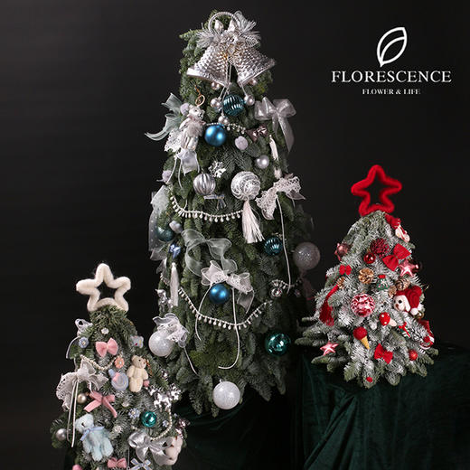 【花柒】进口诺贝松大圣诞树80-200com 商品图5