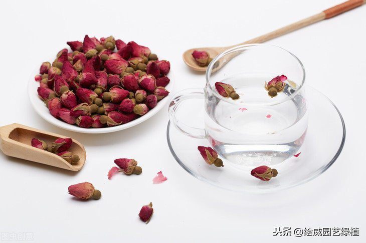 你不知道的绿植的三个作用，严重影响着我们的身体